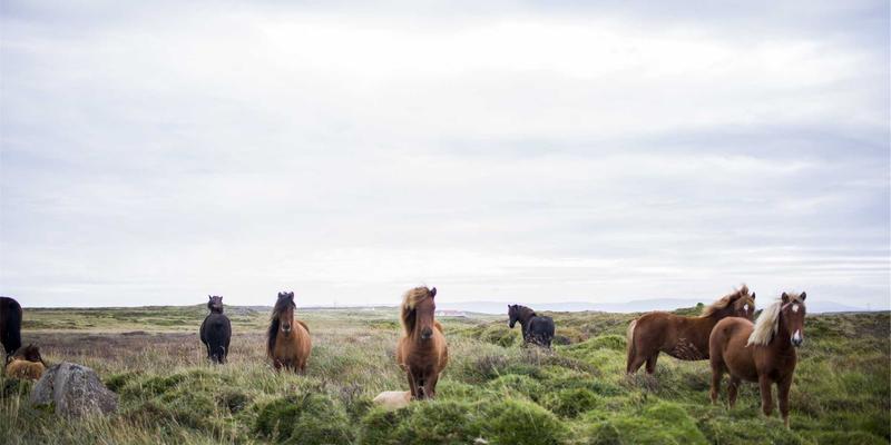 波士顿住宿全攻略:穿越历史的酒店与毗邻名校的特色之选