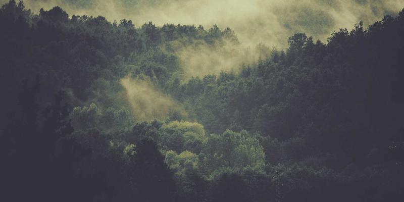 波士顿冬季旅行终极指南：从圣诞市场到哈佛雪景，解锁别样冬日魅力