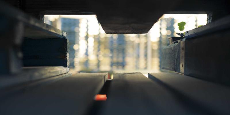 波士顿北端意式风情深度游：从哈佛MIT到百年烘焙坊的味觉朝圣