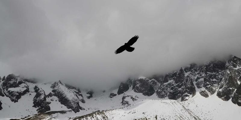 波士顿建筑密码：从红砖古宅到玻璃幕墙，一场穿越300年的天际线演变之旅