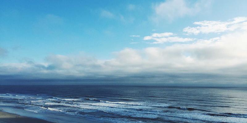 波士顿旅游85：从哈佛殿堂到自由行全攻略，解锁留学与旅行的双重体验