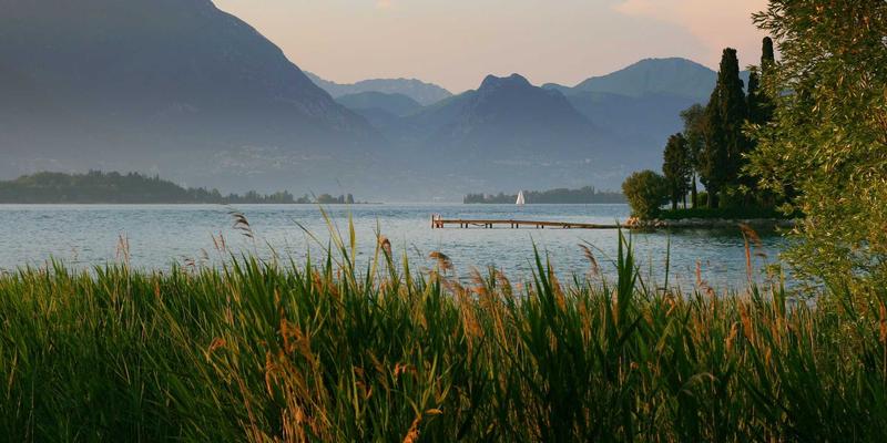波士顿旅游攻略:从哈佛大学到自由之路,留学与旅行的完美融合
