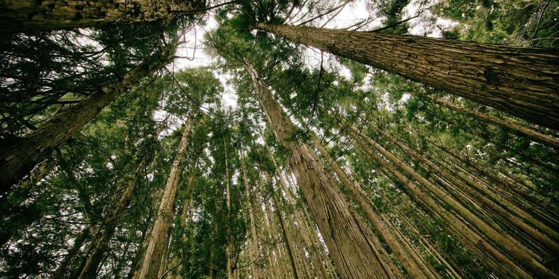 波士顿马拉松朝圣之旅：从霍普金顿到科普利广场，一场穿越历史与激情的自由行指南